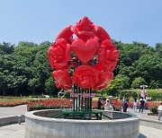 울산대공원 장미축제, 3년 만에 부활