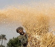 "전쟁이 촉발한 식량 부족으로 수백만명 사망 위험"..이집트 재무장관 경고
