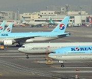 Korean Air to share its routes to win international approval for merger with Asiana