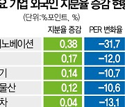 "外人 지분 늘린 SK이노·LG·카카오 주목"