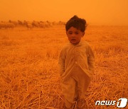 디스토피아 영화처럼 누렇게 변한 바그다드..이라크 덮친 모래폭풍