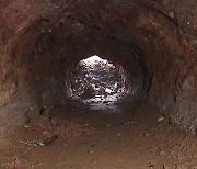 [단독] 대학교서 발견된 수상한 동굴들.."일제강점기 무기고 추정"