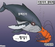 한국일보 5월 25일 만평