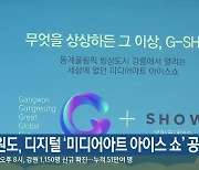 강원도, 디지털 '미디어아트 아이스 쇼' 공개