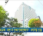 외교부, 이번 주 안에 인태전략TF·IPEF팀 신설