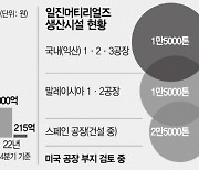 35년간 동박 올인 일진머티리얼즈..SK·LG·포스코도 '입질'