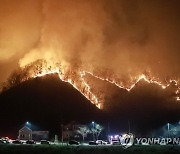 논·밭두렁 태우다 산림 활활..소각 부주의 화재 22% 증가