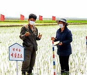 북한, 과학적이고 현실적인 '농사 지도' 강조