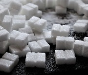 인도, 밀 이어 설탕 수출도 제한..식량안보 조치 확산
