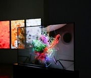 Refik Anadol's NFT on LG's OLED screen auctioned off at $6.2 mn