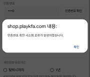 BTS 공연인줄..브라질전 예매 또 '먹통'
