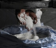 인도, 설탕 곳간도 잠근다..세계로 번지는 '식량 보호주의'