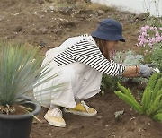 '이상순♥' 이효리, '제주댁'의 특급 삽질..'오늘도 삽질' 출격