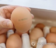 식약처, 달걀 판매업체 3곳 위생관리법 위반 적발