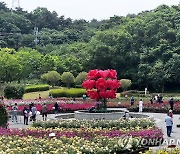 울산대공원 장미축제 개막..'3년 만에 부활'