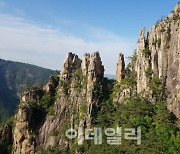 산림청, 여행하기 좋은 국유림 명품숲 5곳 선정·발표
