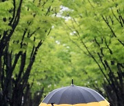 [오늘의 날씨] 대전·충남(26일, 목)..새벽까지 내린 비에 더위 주춤