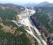 산림청 '국유림 명품숲' 대관령 특수조림지 등 5곳 선정