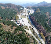 산림청, 대관령 특수조림지 등  '국유림 명품 숲' 5곳 선정