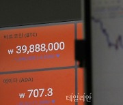 [코인뉴스] 루나 투자자 28% "유망한 분위기 믿고 투자했다가.."