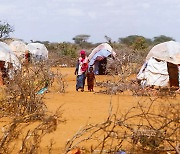 소말리아 대기근 10년 만에 다시?..갓난아기들이 죽어가고 있다