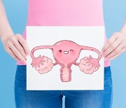 자궁근종·자궁내막증 동반된 여성 10년 새 2.6배 늘어