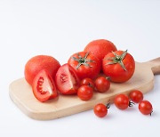 토마토 VS 방울토마토, 몸에 더 좋은 것은?