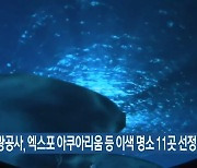 대전관광공사, 엑스포 아쿠아리움 등 이색 명소 11곳 선정
