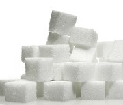 "당 떨어진다"..대한제당, 인도 설탕 수출 제한에 강세