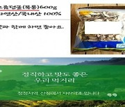 못 먹는 '으름덩굴' 판매한 사이트 차단