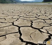"올 가뭄 심상치 않다"..인제군, 영농철 피해예방 행정력 집중