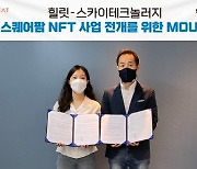 스카이테크놀러지-힐릿, '디지털 트윈 농장' NFT 사업 전개