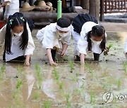 전통 농경문화 재연하는 어린이들
