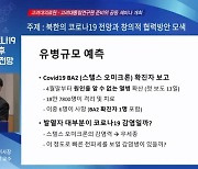 "북한 코로나19, 앞으로 1개월 내 전체 확산 가능성"