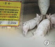 한총리 "돼지열병 방역에 가용자원 총동원" 긴급지시
