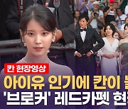 [영상] '브로커' 첫 상영에 대거 몰려온 아이유 팬덤..전세계 취재진 놀랐다