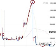 1242원이던 암호화폐 1원까지 폭락..암호화폐 시세 조작 일당 검찰 송치
