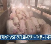 충북 돼지농가 ASF 긴급 표본검사.."이동 시 사전 신고"