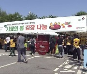 [함께하는K] 대규모 봄 김장 나눔 행사..자원봉사활동 '기지개'