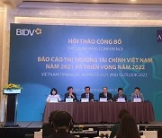 Vietnamese economy to do well in 2022: experts