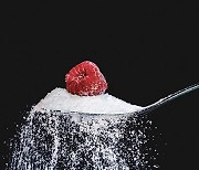 Health Recipe | 설탕 중독, 단것이 건강을 위협한다