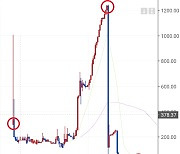 1247원→31원 '폭락'..코인 시세조종해 429억 차익 낸 일당 검거