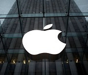 몸 사리는 애플, 올해 아이폰 생산량 작년 수준 '2.2억대' 유지될 듯