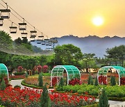여름 꽃과 함께하는 서울대공원 "사진도 찍고 마술도 보고"