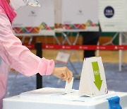 제8회 전국동시지방선거 사전 투표