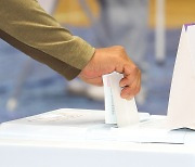 제8회 전국동시지방선거 사전 투표