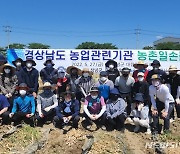 경남도-농업 관련기관, 창녕서 마늘 수확 도와