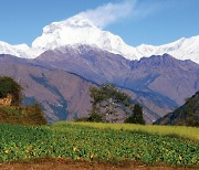 [거칠부 다이어리: 네팔 모하레 단디 트레킹] 알려지지 않은 네팔 오지를 가다 