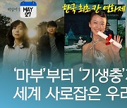 [오늘은] '마부'부터 '기생충'까지..한국 영화 세계를 사로잡다