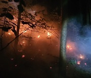 가평 화엄산 애기봉서 산불..산림 1.05㏊ 태워